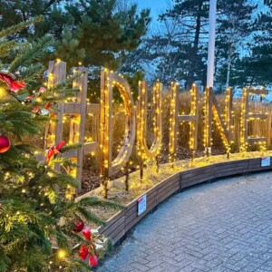 Festlich beleuchteter Schriftzug #DUHNEN und Weihnachtsbäume bei Dämmerung.